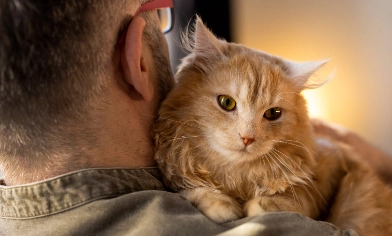 Cat being held by the carer's shoulder