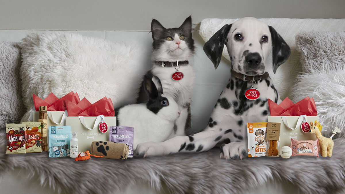 a group of animals sitting on a couch