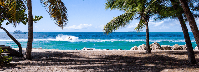 Sandy beach with rocks and palm trees in front of blue sea with person riding a jet ski