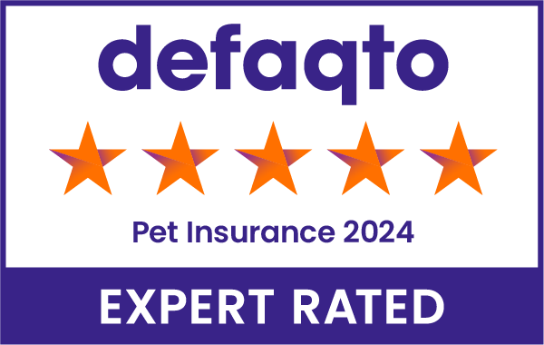 defaqto expert rated five star pet insurance 2024 